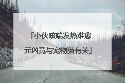 小伙咳喘发热难愈 元凶竟与宠物猫有关